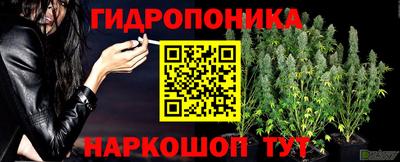 Альфа ПВП Пенза