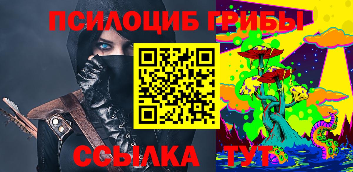Сафоново  Псилоцибиновые грибы Cubensis  даркнет сайт  Вход с VPN 